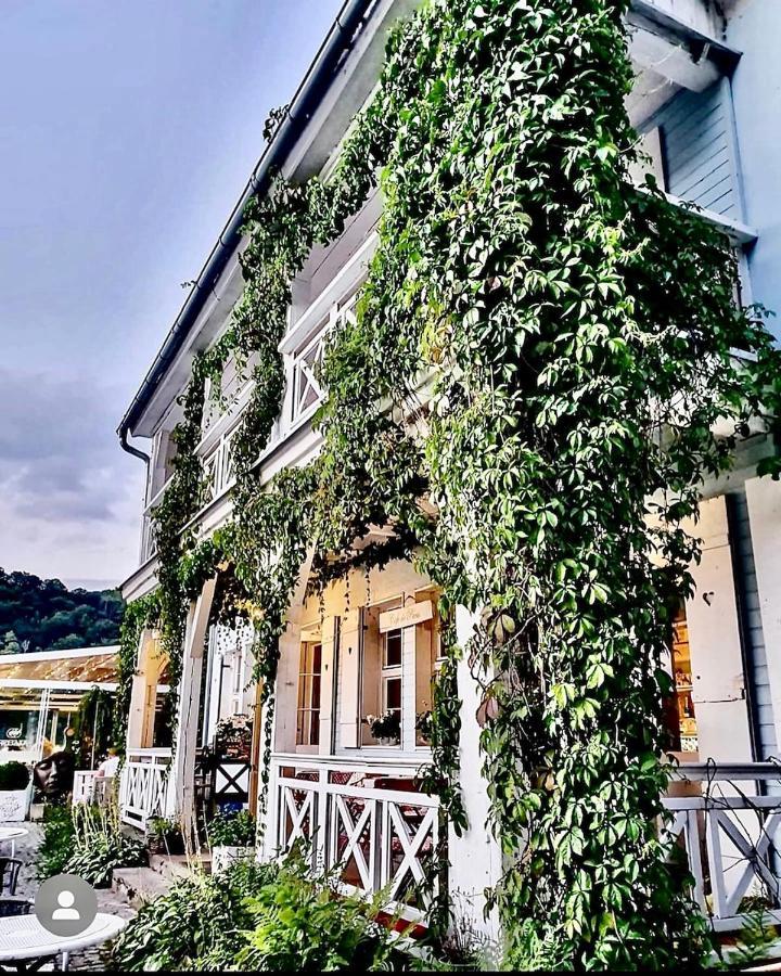 Fregata Bed & Breakfast Zagórze Śląskie Eksteriør bilde